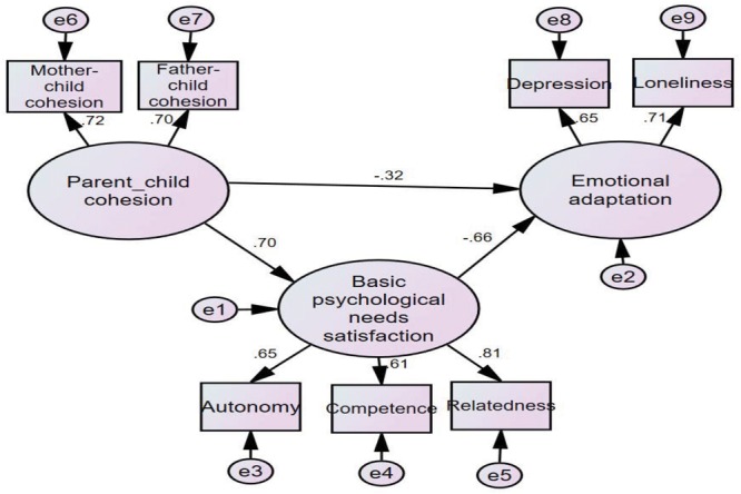 FIGURE 1