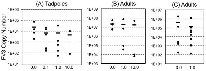 FIG 3