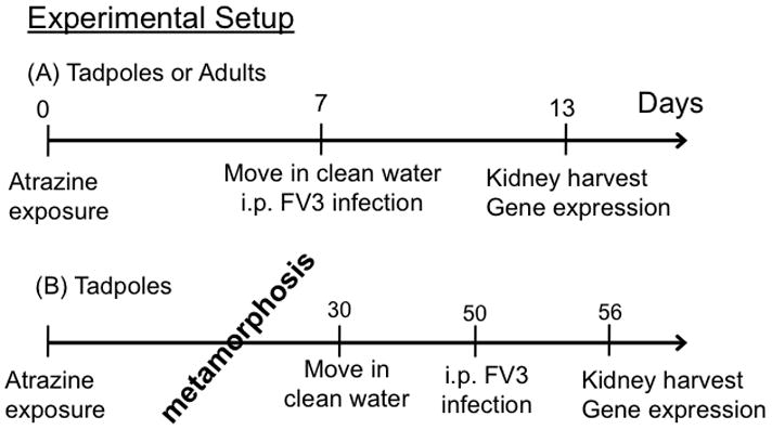 FIG 1