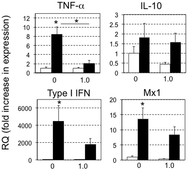 FIG 6