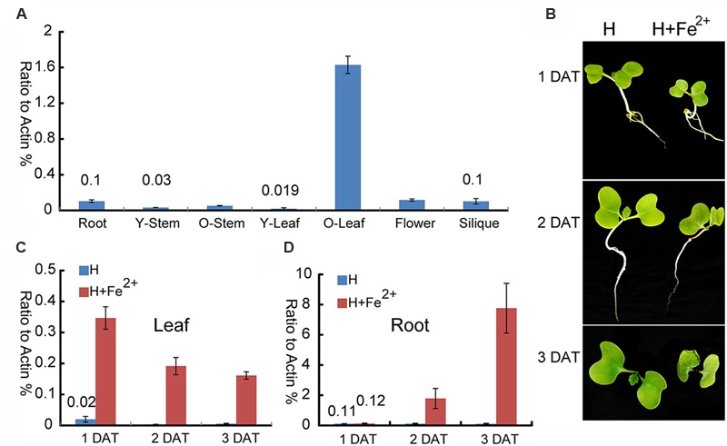 FIGURE 3