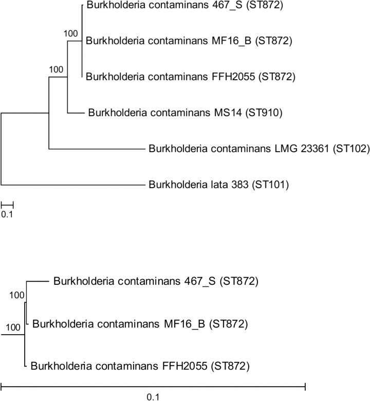 Fig 2