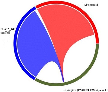 Fig. 4