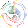 <sc>Fig</sc>. 5.—