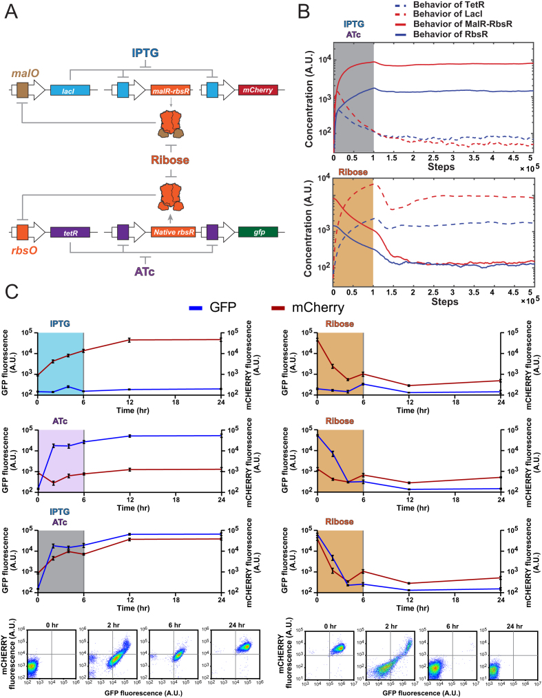 Figure 4.