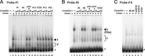 FIG. 2.