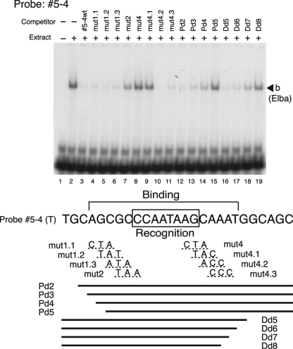 FIG. 7.