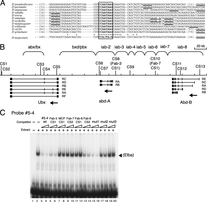 FIG. 8.