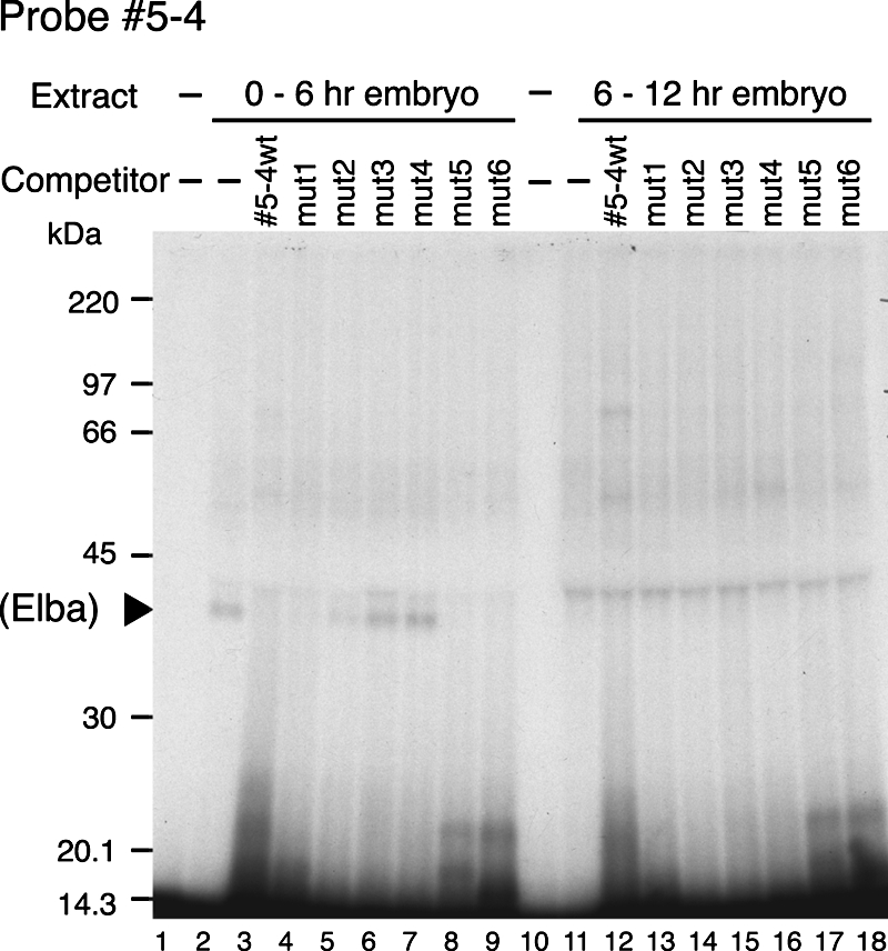 FIG. 5.