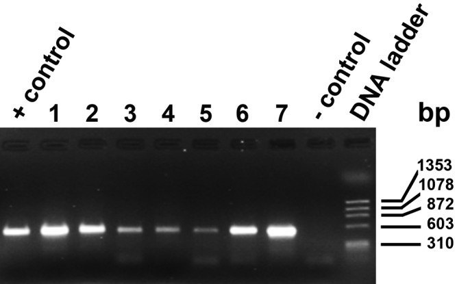 Figure 4.