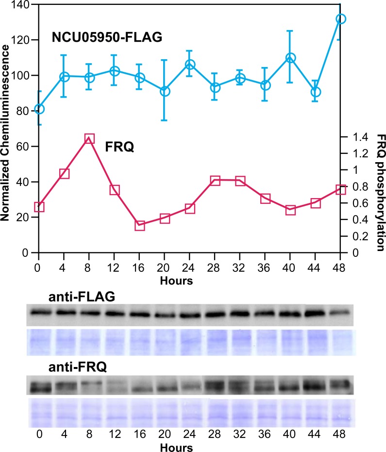 Fig 8