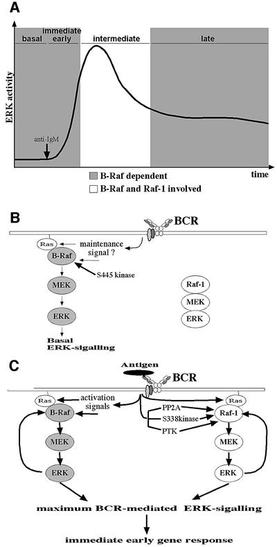 graphic file with name cdf588f9.jpg