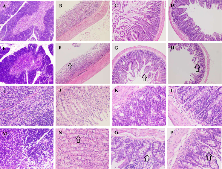 Fig 12