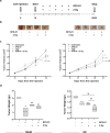 Fig. 11