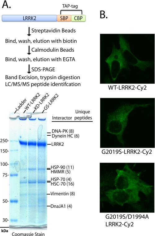 FIGURE 2.