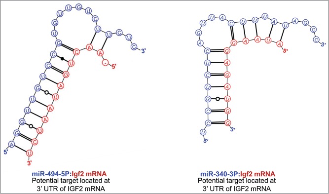 Figure 5.