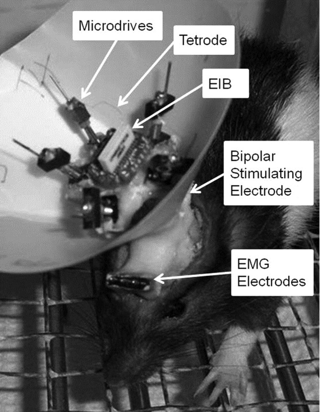 Figure 1.