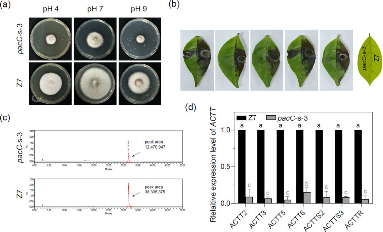 Fig 4