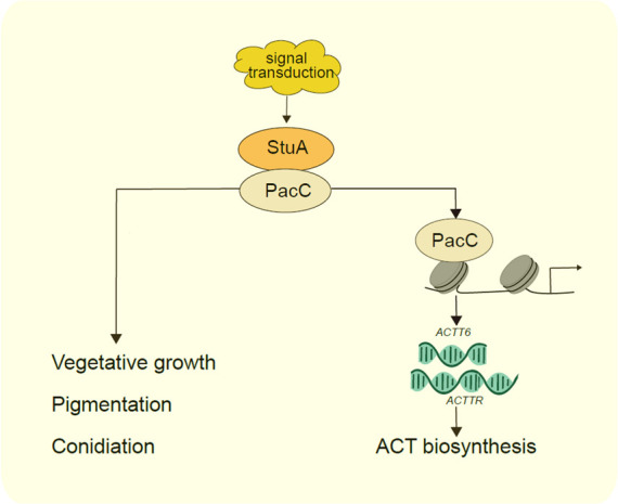 Fig 6