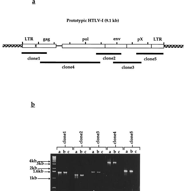 FIG. 5