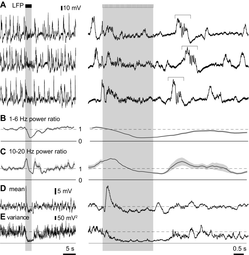 Fig. 11.