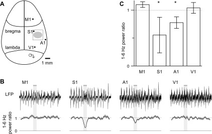 Fig. 9.