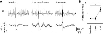 Fig. 8.