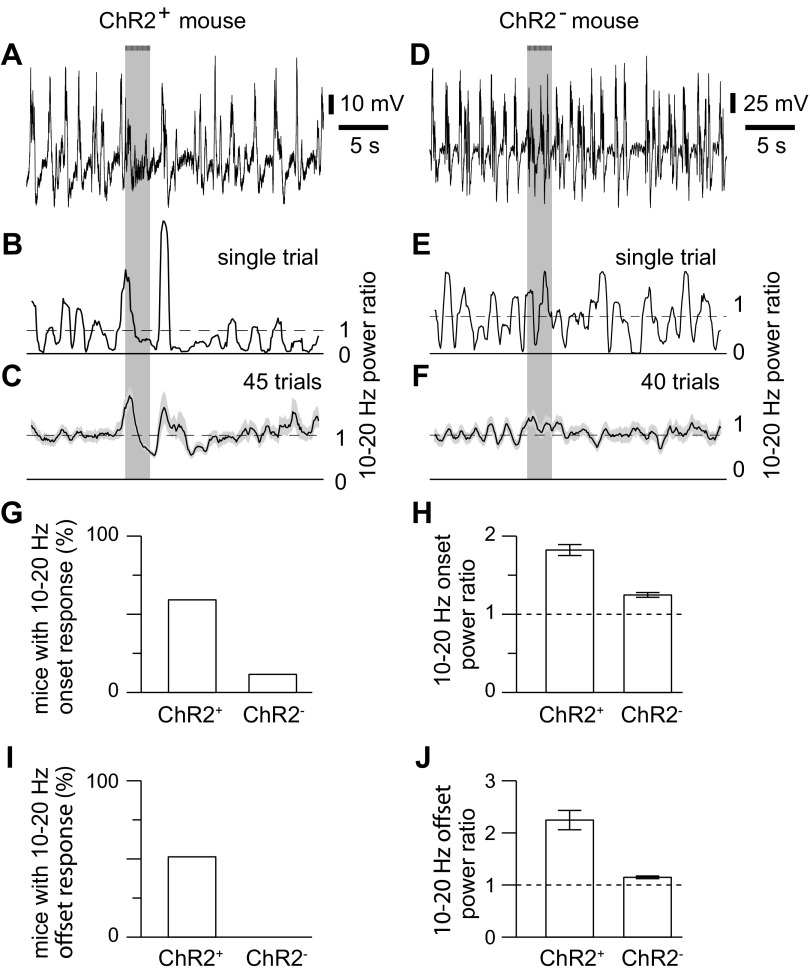 Fig. 10.