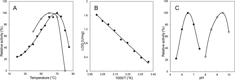 FIG 2