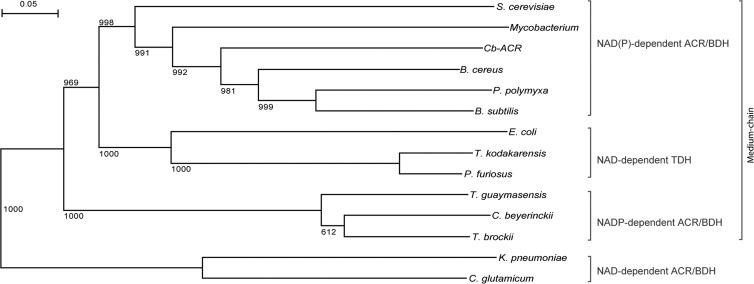 FIG 4