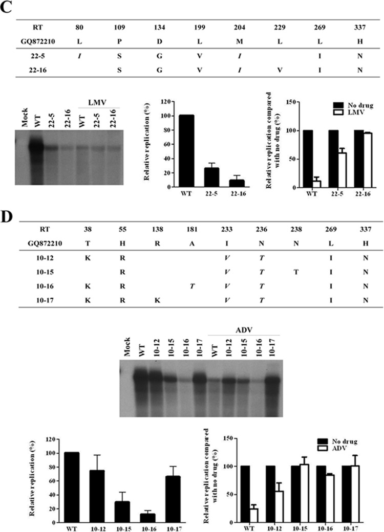 FIG 1