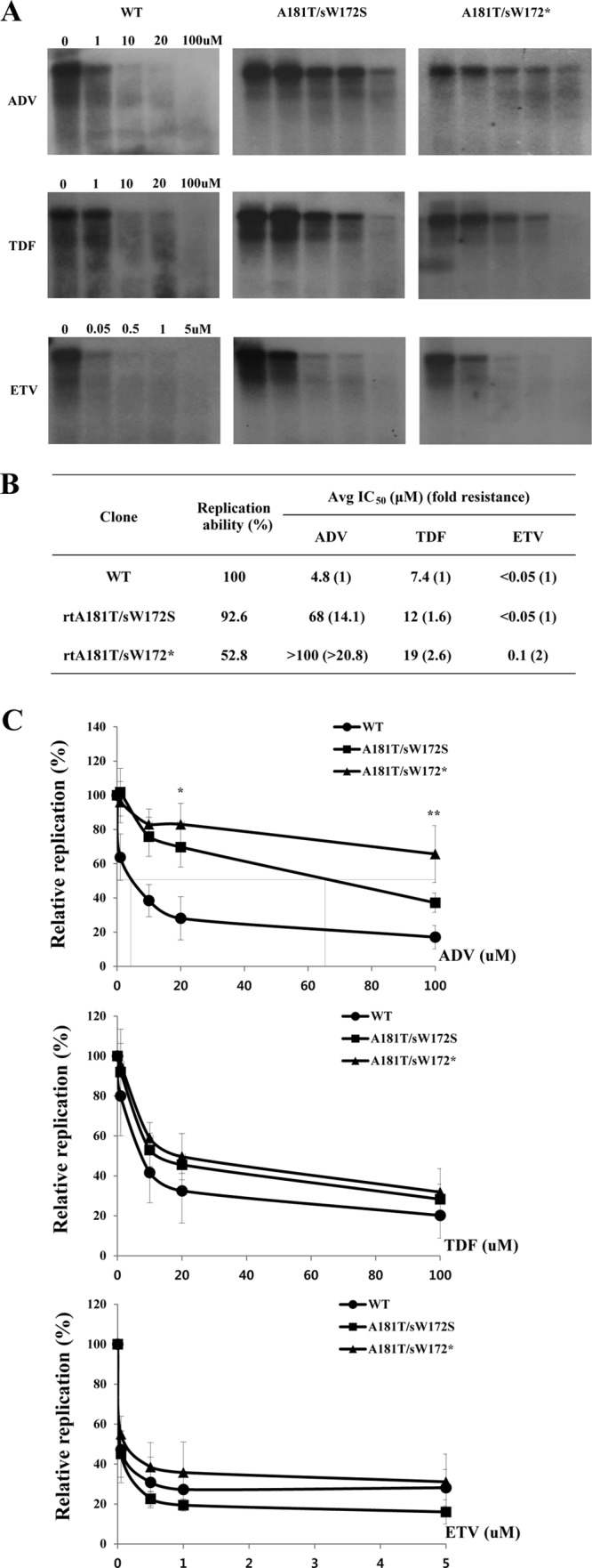 FIG 6