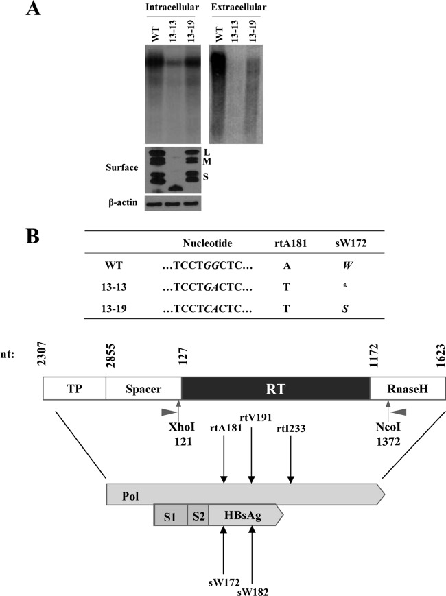 FIG 3