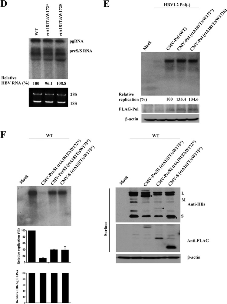 FIG 5