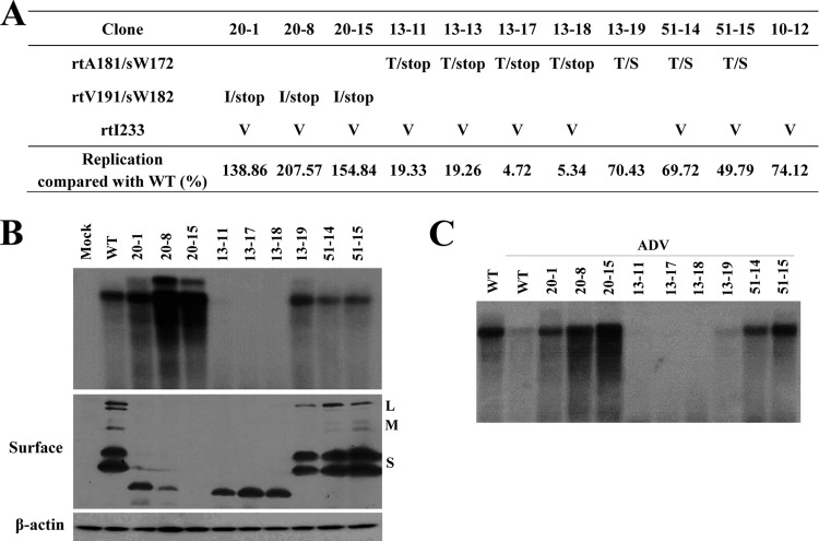 FIG 4