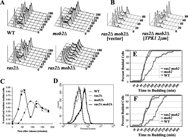 FIG. 7.