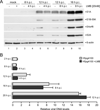 Fig 6