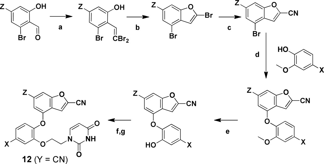 Scheme 3