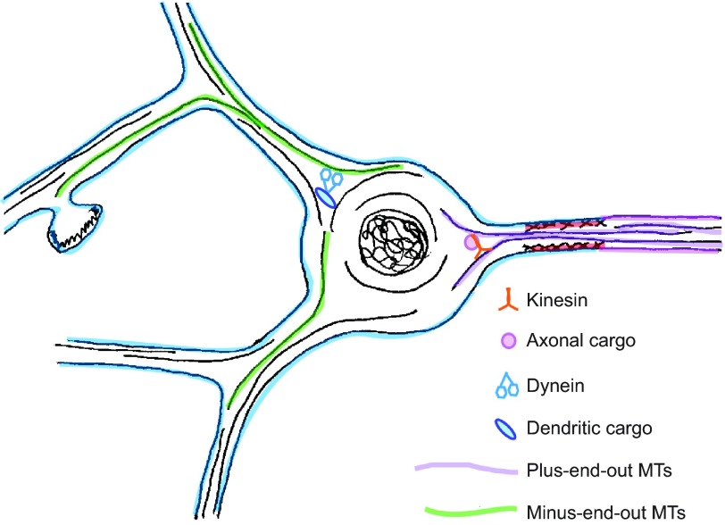 Fig. 2.