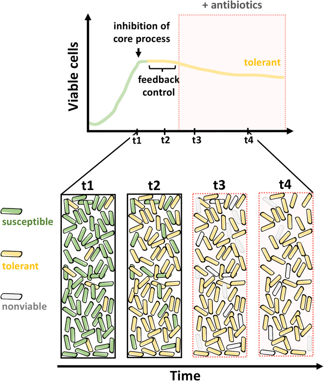 FIG 3