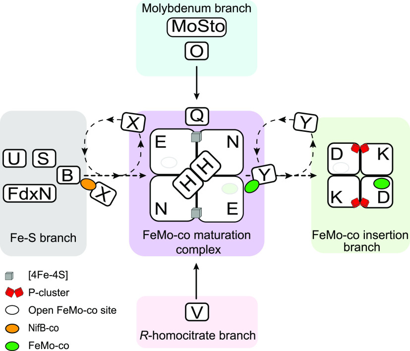 Figure 14