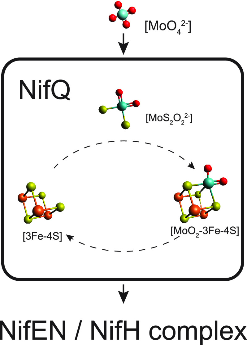 Figure 21