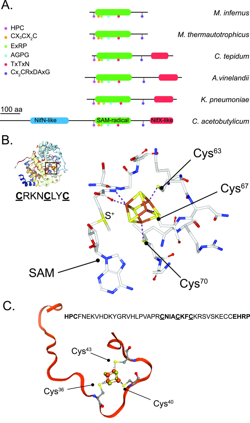 Figure 16