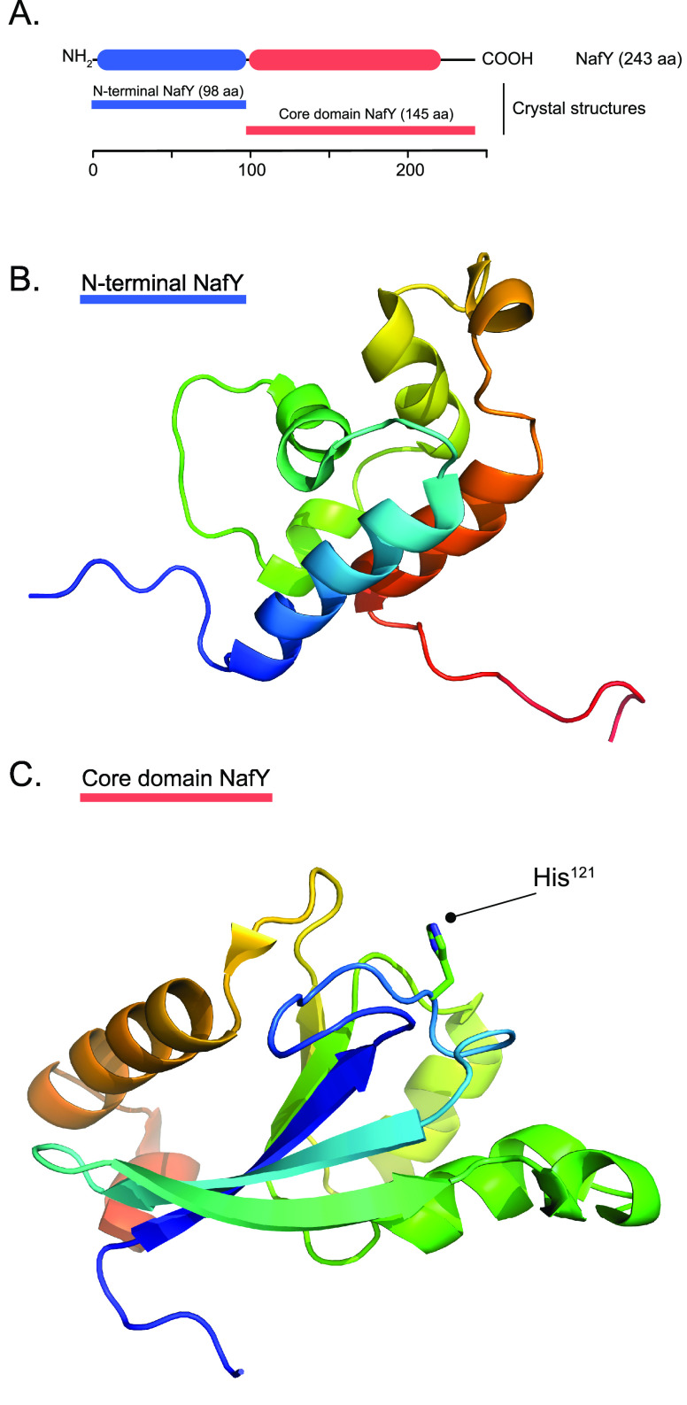 Figure 27