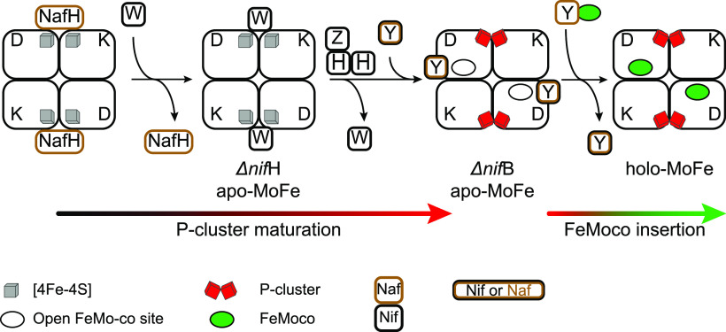 Figure 9