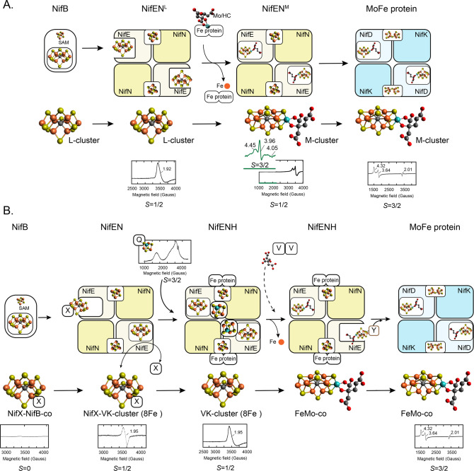 Figure 25