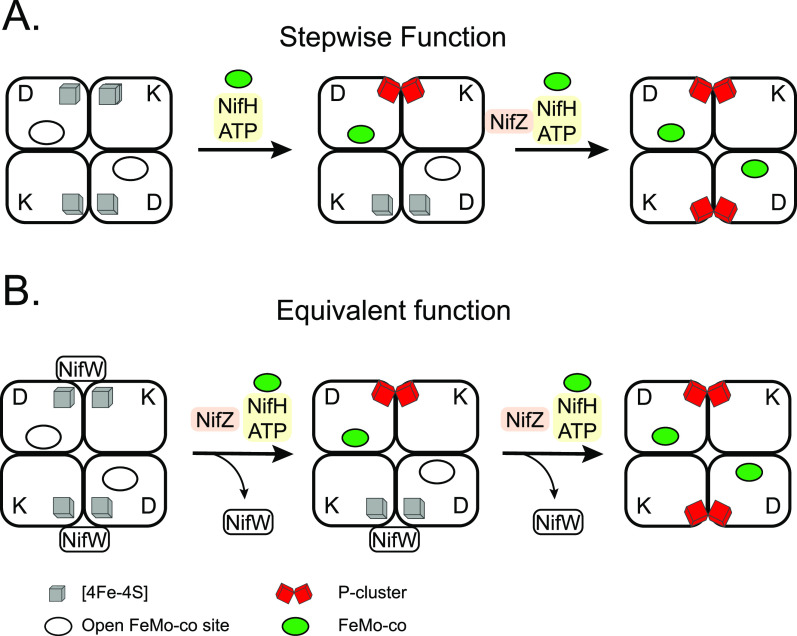 Figure 10