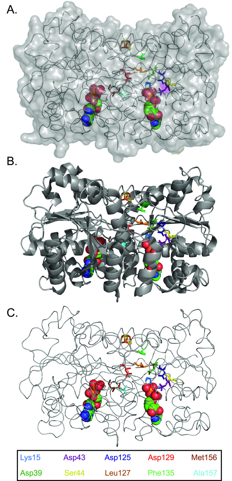 Figure 24