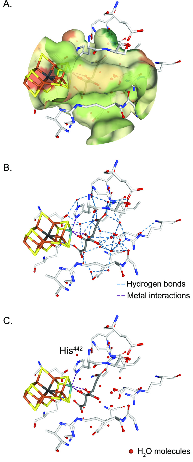 Figure 22