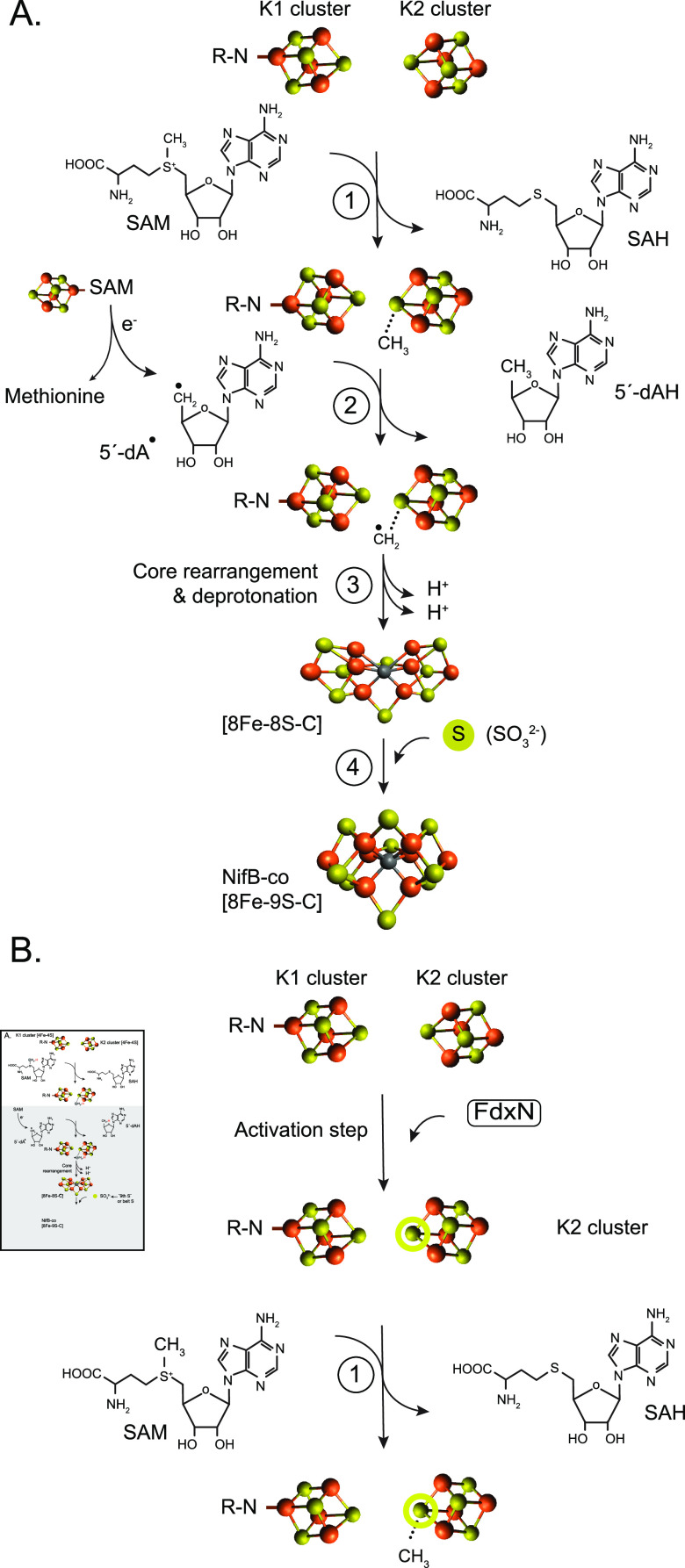 Figure 19